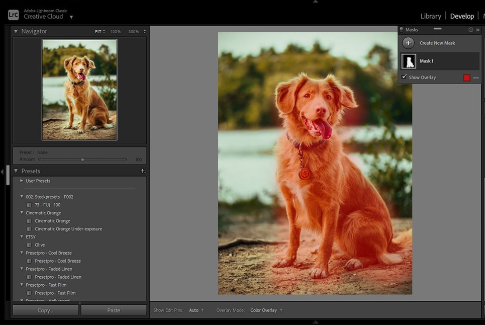 adobe lightroom